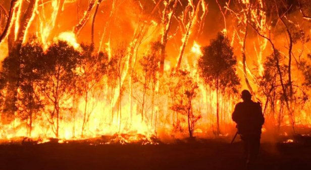 The most effective ways you can support bushfire relief efforts
