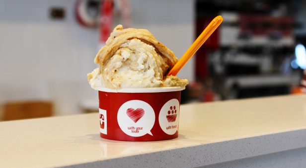 La Macelleria | Brisbane's best gelato and ice-cream