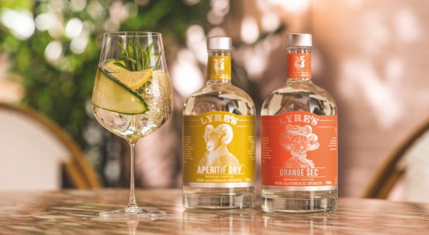 What to drink when you&#8217;re not drinking – take your martini dry with Lyre&#8217;s booze-free spirits