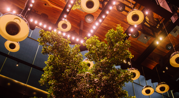 Get loud at Brunswick Mall&#8217;s new two-level music haven The Sound Garden