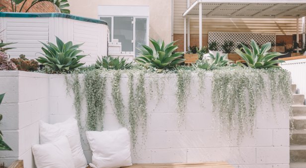 Take a breather at Brisbane&#8217;s newest relaxation station Cenote Casa Bathhouse