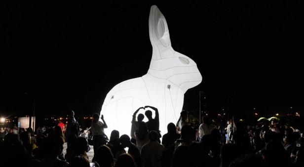 Hop to it – the giant, glowing bunnies of Intrude are burrowing their way into Brisbane