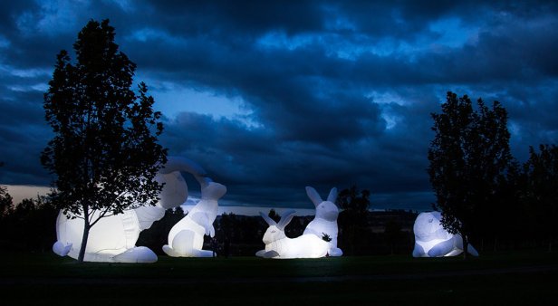 Hop to it – the giant, glowing bunnies of Intrude are burrowing their way into Brisbane