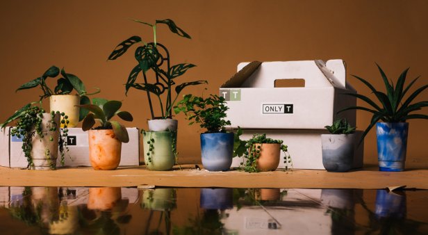 Get clay-zy with saniTEA DIY pot-making kits