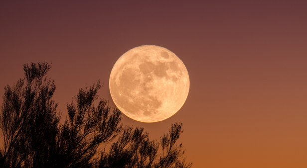 Look up! When you can see the April supermoon in Brisbane