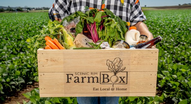 From the farm to the city – newly launched Scenic Rim Farm Box brings the best local produce to your door
