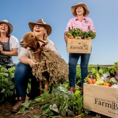 From the farm to the city – newly launched Scenic Rim Farm Box brings the best local produce to your door