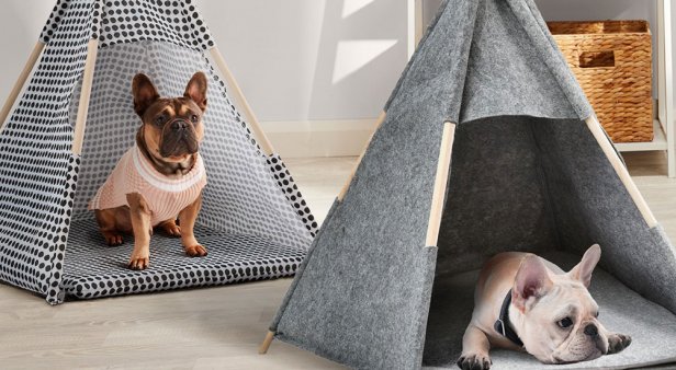 Treat your fur baby to their own personal teepee and dashing duds