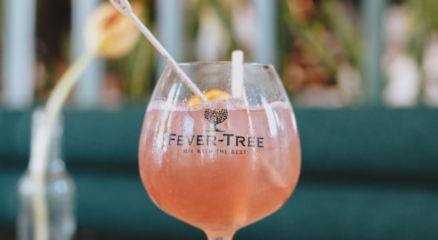 Calling all G&amp;T lovers – The Fever-Tree Online Gin &amp; Tonic Festival is coming to a screen near you