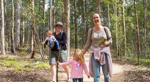 Family-friendly forest walk