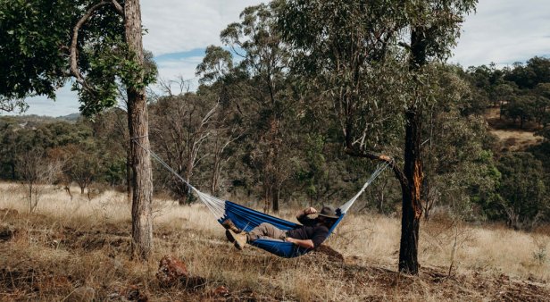 Go off-grid in your very own tiny holiday house just 2.5-hours out of Brisbane