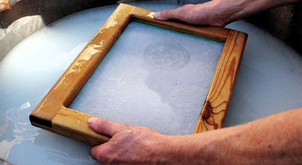 Botanical paper making