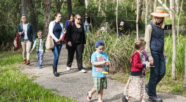 Bush Kindy &#8211; Guided walk in the wetlands