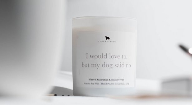 Give your dog a taste of the good life with botanical shampoo bars and calming pet-friendly candles