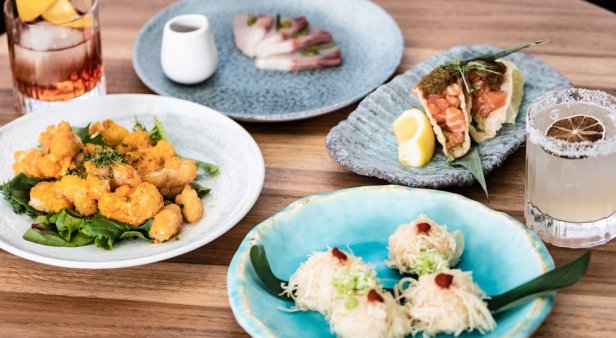 Sake Restaurant and Bar | Brisbane's best Japanese restaurants