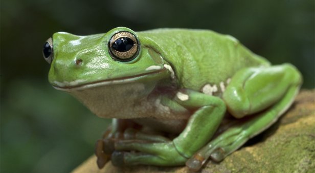 Family forest walk &#8211; National Biodiversity Month