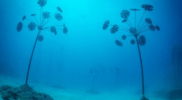 Discover a whole new world at Australia&#8217;s first underwater museum