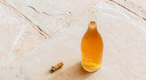 Sip better with Notwasted&#8217;s curated selection of minimal-intervention natural wines