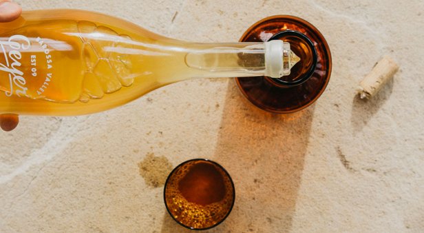 Sip better with Notwasted&#8217;s curated selection of minimal-intervention natural wines