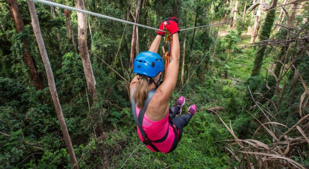 Tree Top Challenge