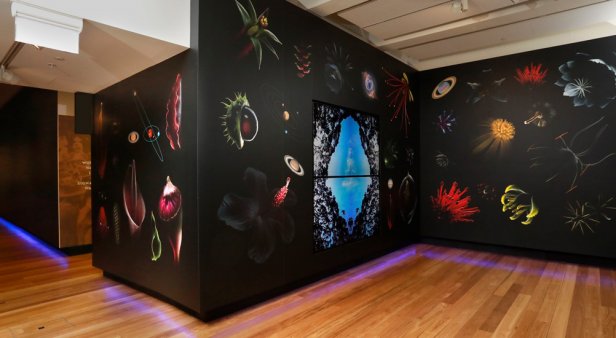 Get lost in Museum of Brisbane&#8217;s new cosmic exhibition Man &amp; Wah: CELESTON 2