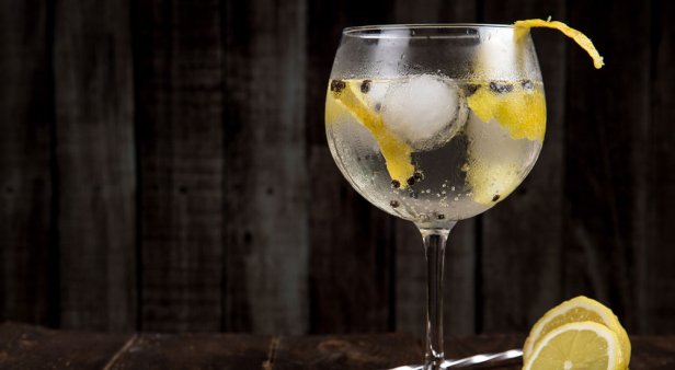 Become a gin-ius with Gin Loot&#8217;s monthly subscription service