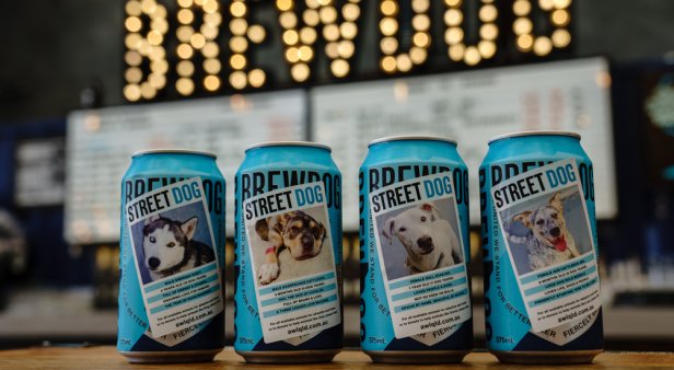 BrewDog’s limited-edition Street Dog Punk IPA is helping save homeless Queensland dogs