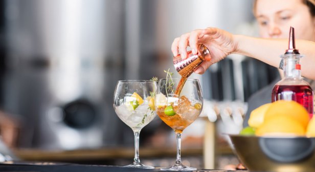 Bottoms up – 20 20 Distillery opens its tasting room in Cooroy