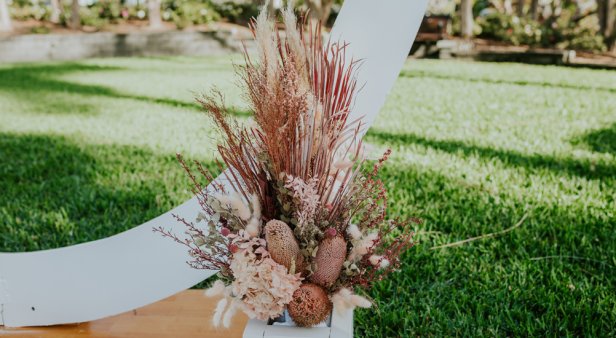 Planning or re-planning your big day? Wed your beloved in tropical bliss at Roma Street Parkland