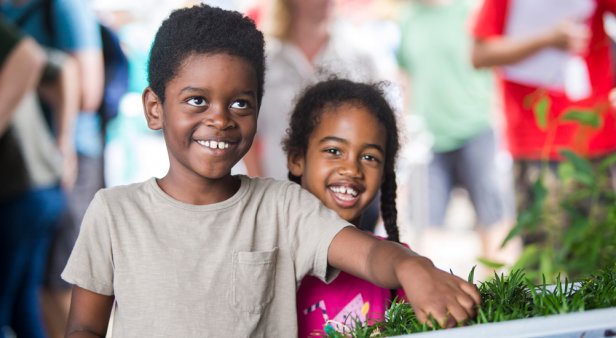 Wisdom, wonder and wild experiments – World Science Festival Brisbane reveals its jam-packed 2021 program