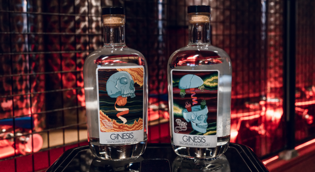 Ginesis | Southeast Queensland's best craft distilleries