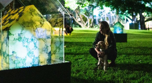 Glow-in-the-dark gardens, flavourful food-truck fare and DJs at dusk – all of the must-do events happening at Botanica: Contemporary Art Outside