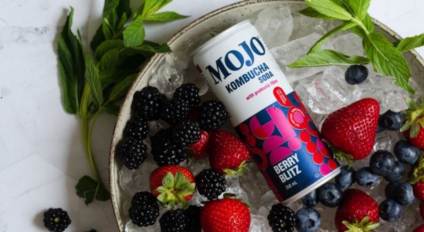 Give gratitude to your gut with MOJO&#8217;s tasty new kombucha sodas