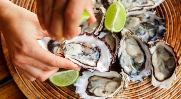 Brisbane’s bug and oyster trail Sea to the City returns this month with salivation-inducing ocean-caught nosh