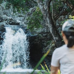 Pack your hiking shoes – where to go chasing waterfalls near Brisbane