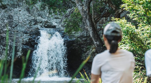 Pack your hiking shoes – where to go chasing waterfalls near Brisbane