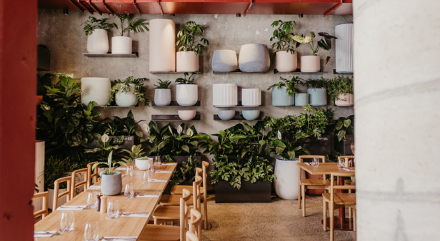 Lebanese cuisine and lush foliage abound at The Green – James Street&#8217;s new leaf-laden cafe