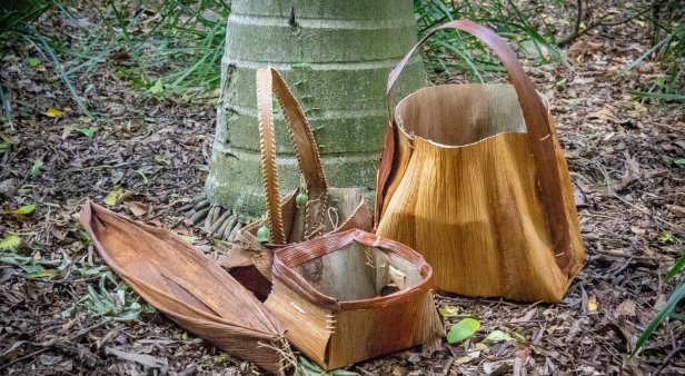 Palm sheath containers