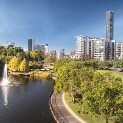 Fish that can walk on land and super-rare flowers – ten facts you didn’t know about South Bank Parklands and Roma Street Parkland
