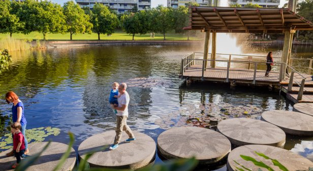 Fish that can walk on land and super-rare flowers – ten facts you didn’t know about South Bank Parklands and Roma Street Parkland