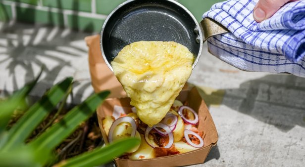 Ben Lee, tastebud-tantalising bites and Bluey – the ultimate guide to Teneriffe Festival