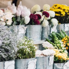 Pretty petals and a huge selection of succulents await at Portside Wharf&#8217;s Plant and Flower Market