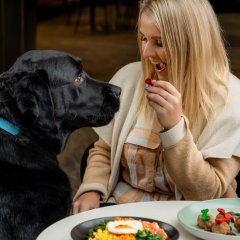 Pack your pooch – where to find Brisbane’s best dog-friendly cafes and bars