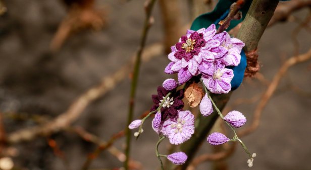 Nature-inspired installation The Love of Life is blooming at Brisbane Quarter