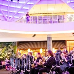 Jazz up your weekend with live tunes at Sounds by Starlight