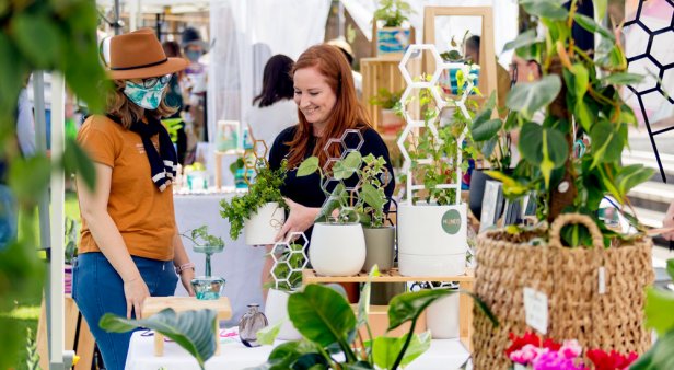The Plant Market presented by BrisStyle