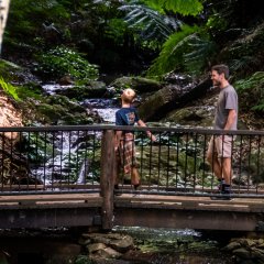 Pack the car – here&#8217;s our ultimate guide to Southern Queensland Country