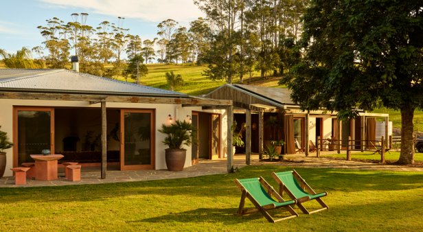 Say salutations to Sun Ranch, a 1970s Cali-inspired estate nestled in the Byron Bay hinterland
