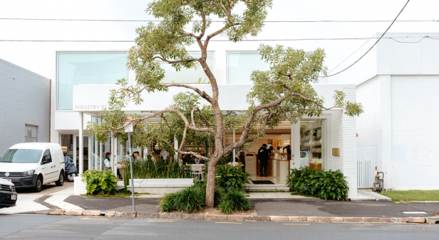 Industry Beans | Best cafes, bars and restaurants in Newstead
