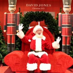 Christmas at David Jones